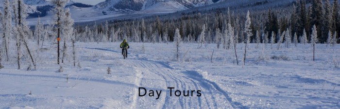 day-tours